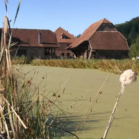 Maison d'hôtes de charme - Ancien moulin en pleine nature - La Paulusmühle Soucht