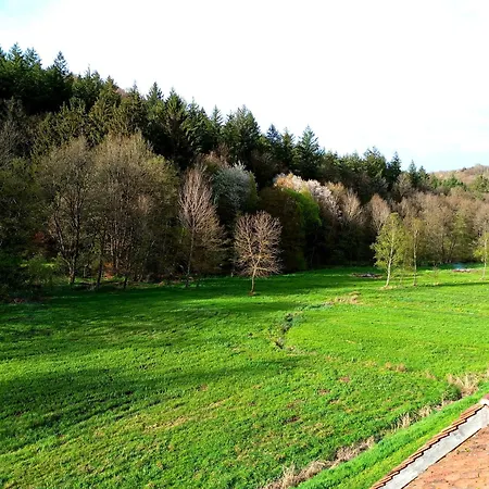 Maison D'Hotes La Paulusmuehle Ancien Moulin En Pleine Nature