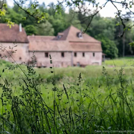 Guest house De Charme - Ancien Moulin En Pleine Nature - La Paulusmuehle
