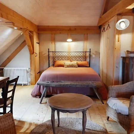 De Charme - Ancien Moulin En Pleine Nature - La Paulusmuehle Guest house