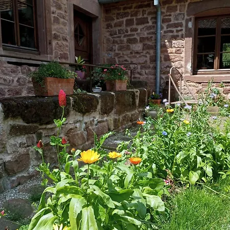 בית הארחה Maison D'Hotes La Paulusmuehle Ancien Moulin En Pleine Nature