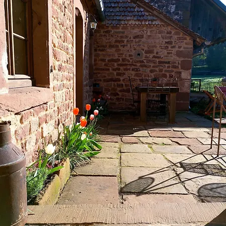 Maison D'Hotes La Paulusmuehle Ancien Moulin En Pleine Nature בית הארחה 3*