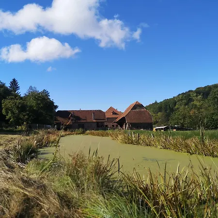 De Charme - Ancien Moulin En Pleine Nature - La Paulusmuehle Soucht