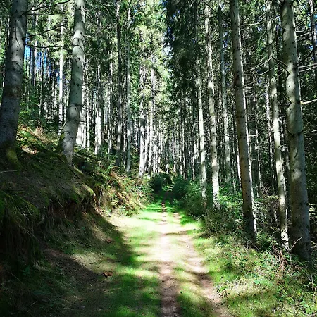 Maison d'hôtes de charme - Ancien moulin en pleine nature - La Paulusmühle Maison d'hôtes 3*