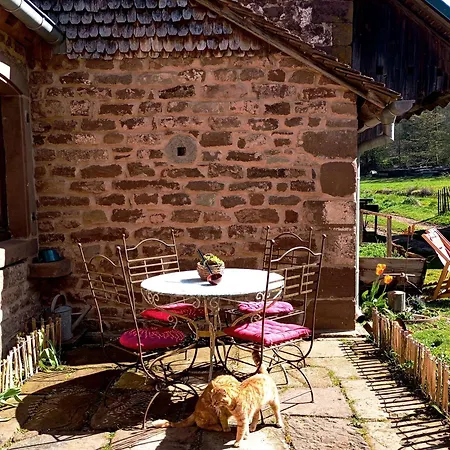 La Paulusmuehle Ancien Moulin En Pleine Nature 3*