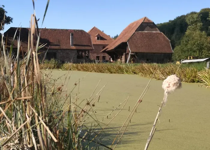 La Paulusmühle Ancien Moulin En Pleine Nature Soucht