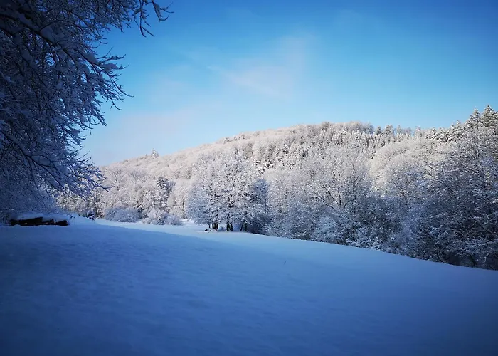 La Paulusmuehle Ancien Moulin En Pleine Nature 3* Soucht