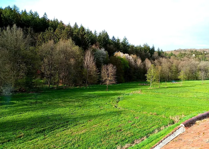 La Paulusmuehle Ancien Moulin En Pleine Nature