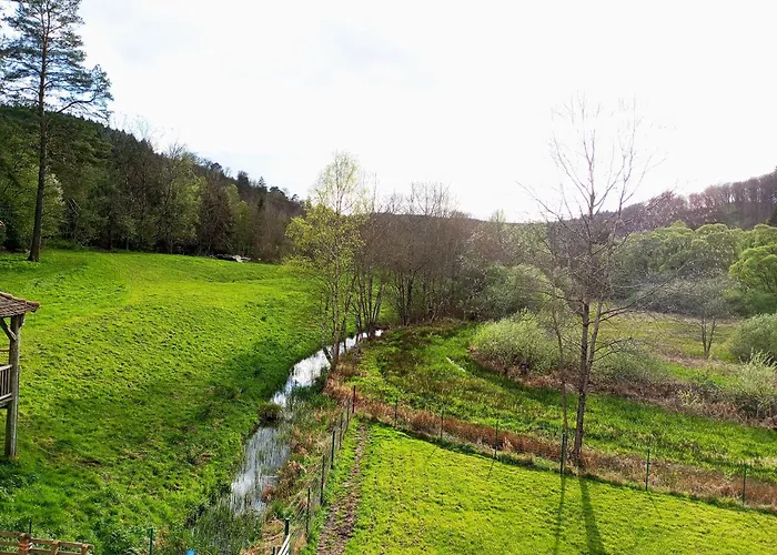 La Paulusmuehle Ancien Moulin En Pleine Nature 3*