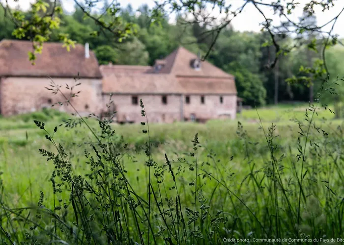 Gasthof La Paulusmühle Ancien Moulin En Pleine Nature
