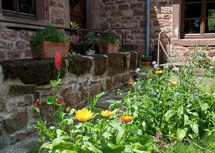Gasthof La Paulusmühle Ancien Moulin En Pleine Nature