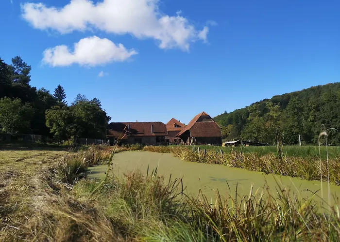 La Paulusmuehle Ancien Moulin En Pleine Nature Soucht