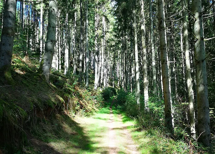 La Paulusmühle Ancien Moulin En Pleine Nature Gasthof 3*