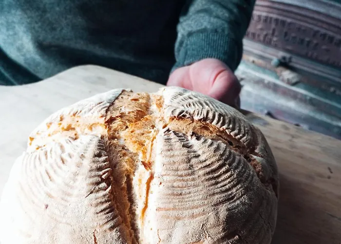 La Paulusmühle Ancien Moulin En Pleine Nature