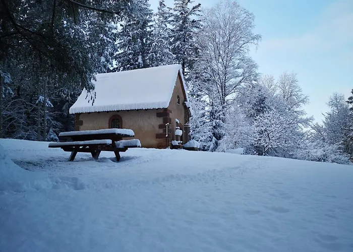 La Paulusmuehle Ancien Moulin En Pleine Nature