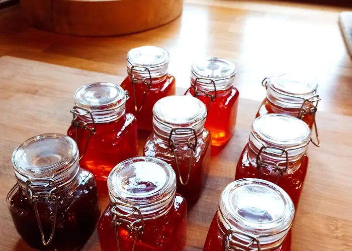 La Paulusmühle Ancien Moulin En Pleine Nature Gasthof 3*