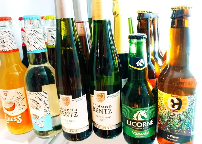 La Paulusmuehle Ancien Moulin En Pleine Nature Vendégház Soucht